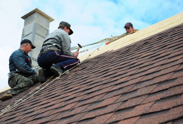 Best Metal Roofing Contractor  in Leonville, LA